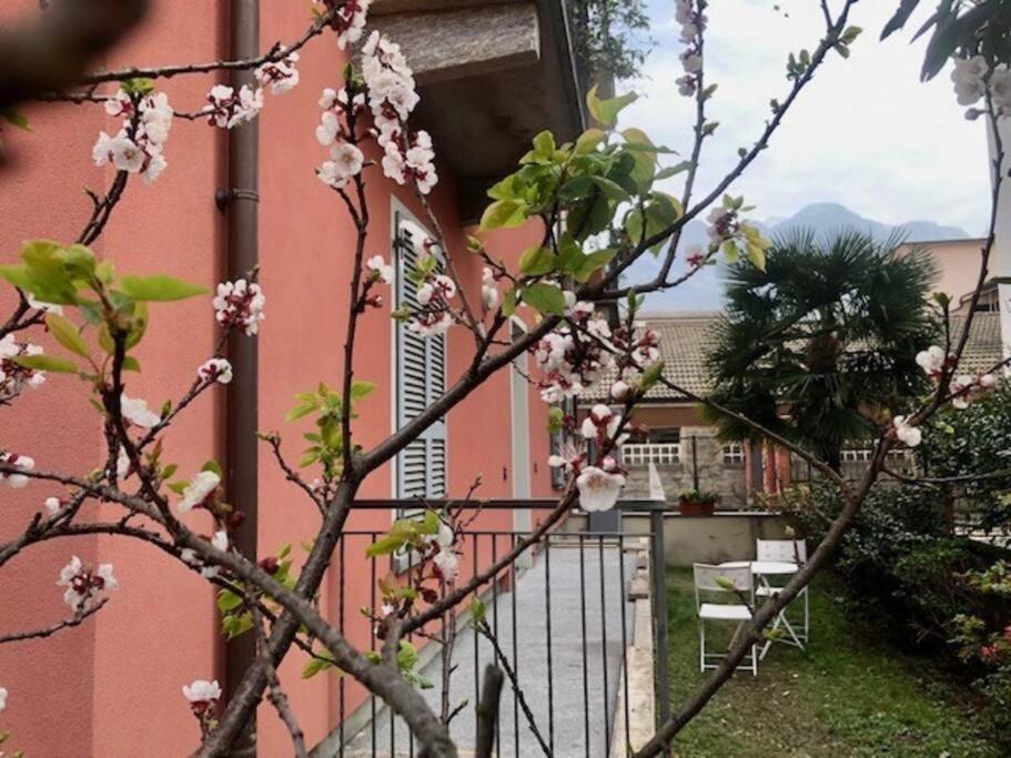 Giuditta Freecarpark&Garden Domodossola Luaran gambar
