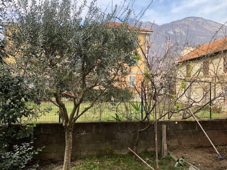 Giuditta Freecarpark&Garden Domodossola Luaran gambar