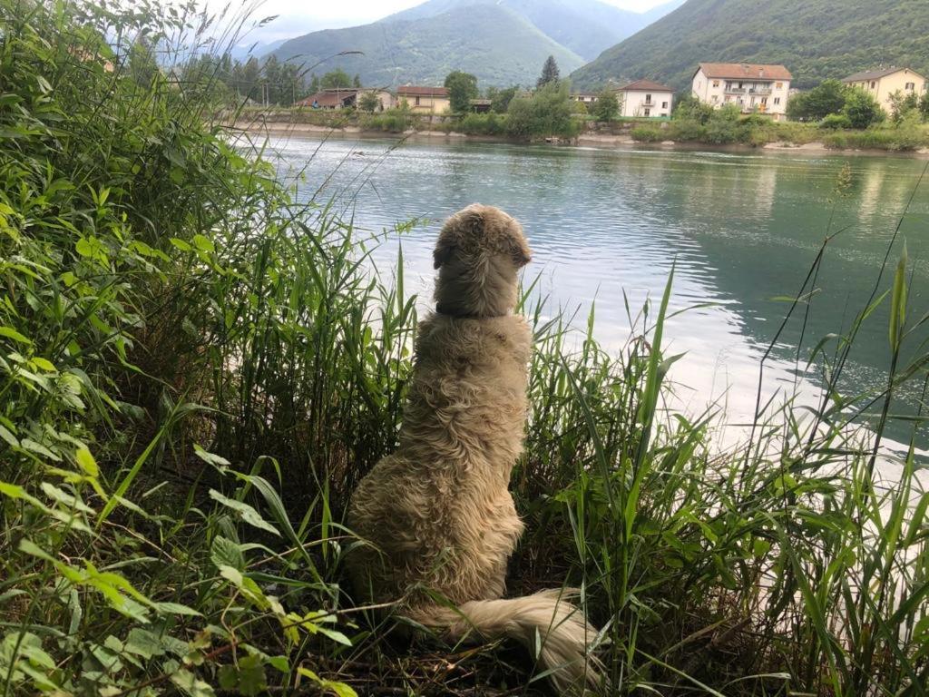 Giuditta Freecarpark&Garden Domodossola Luaran gambar