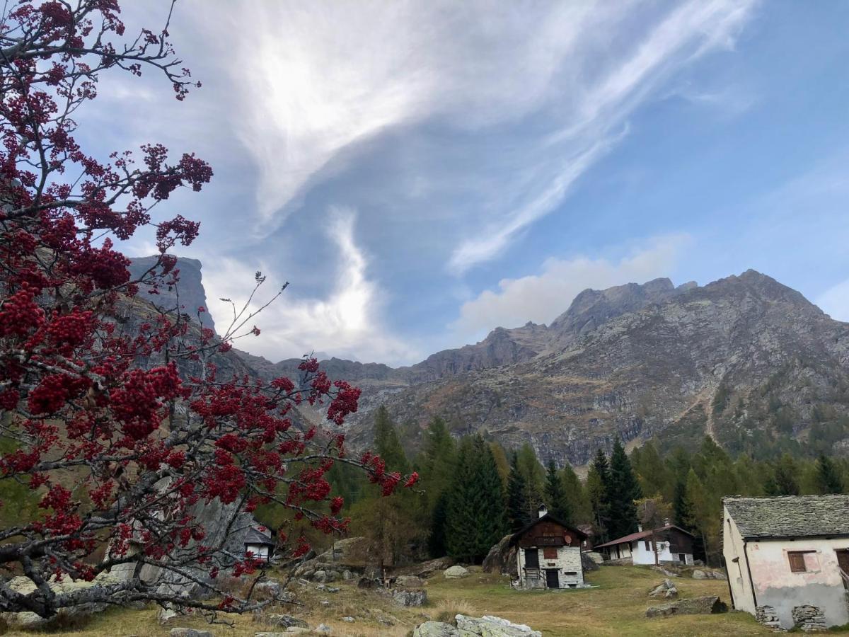 Giuditta Freecarpark&Garden Domodossola Luaran gambar