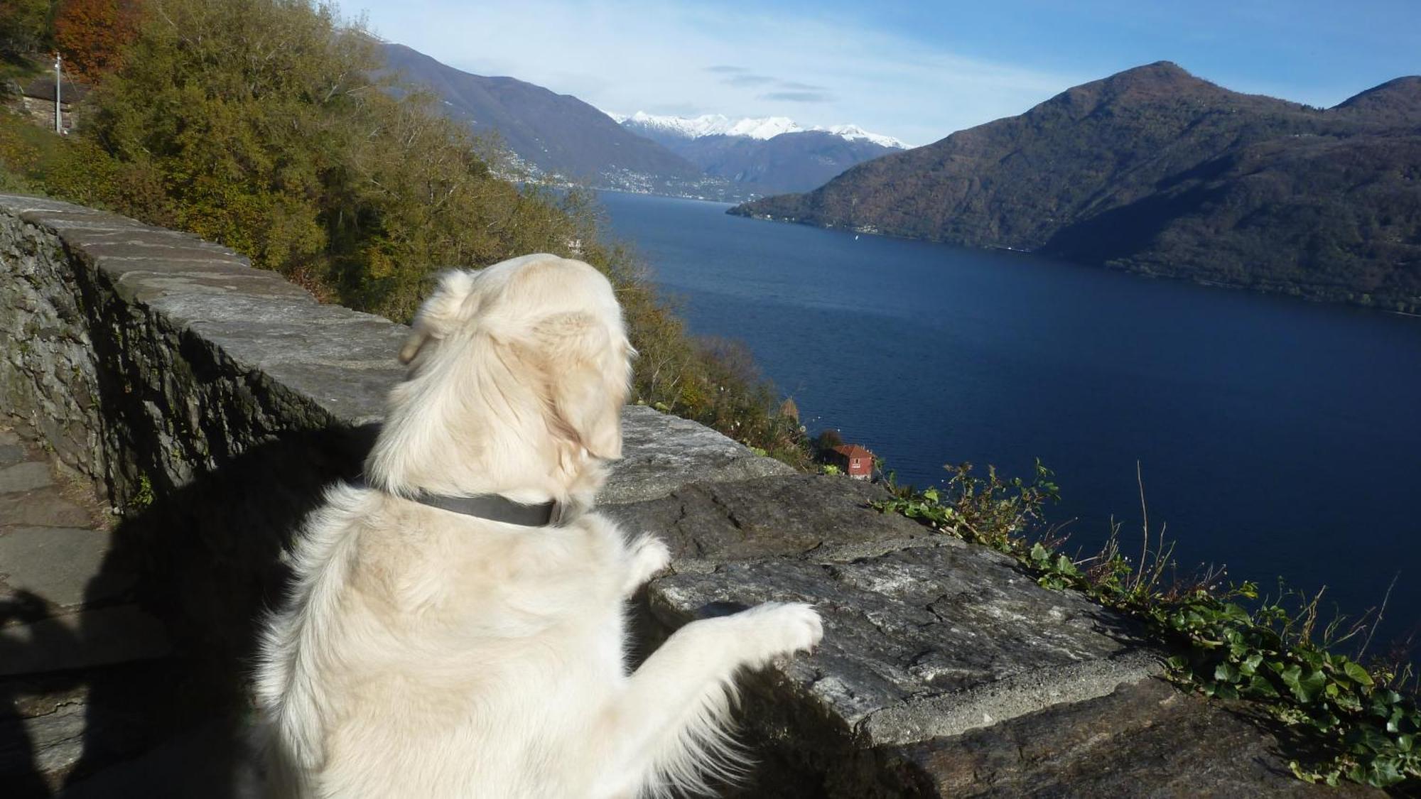 Giuditta Freecarpark&Garden Domodossola Luaran gambar