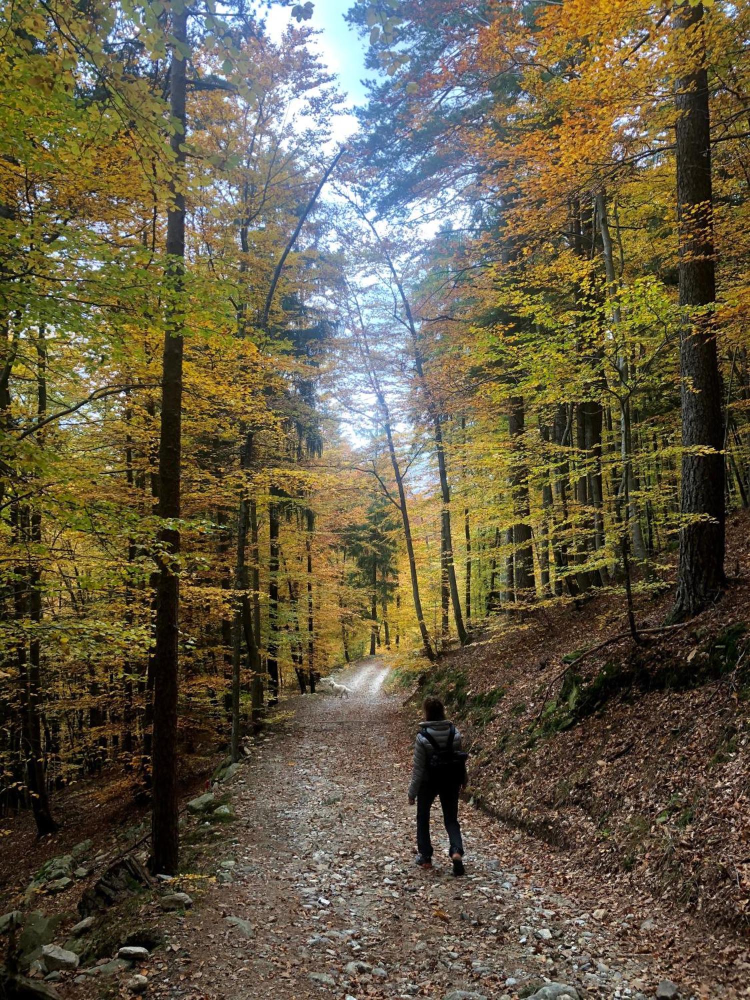 Giuditta Freecarpark&Garden Domodossola Luaran gambar